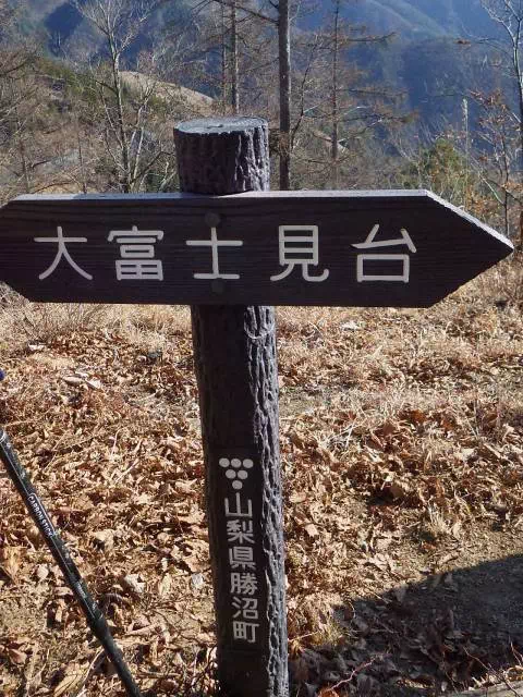 大富士見台 大富士見台