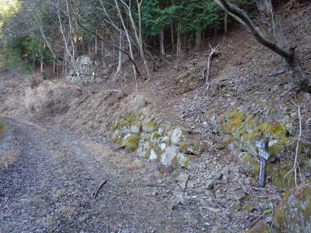 林道出合 林道出合