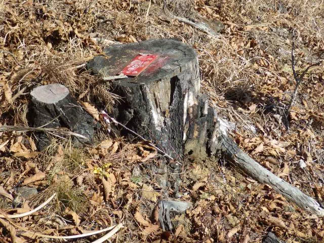 焼け焦げ 焼け焦げ