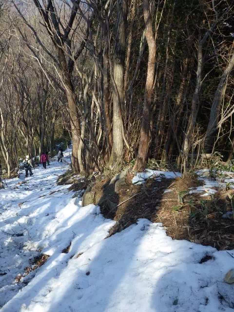 関東ふれあいの道