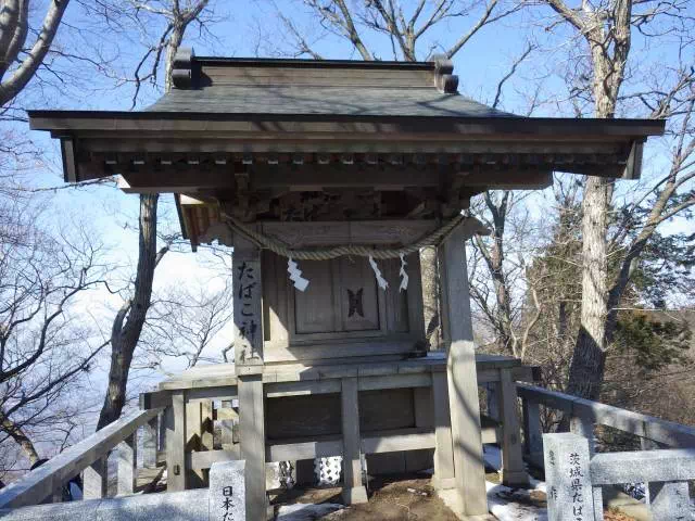 たばこ神社