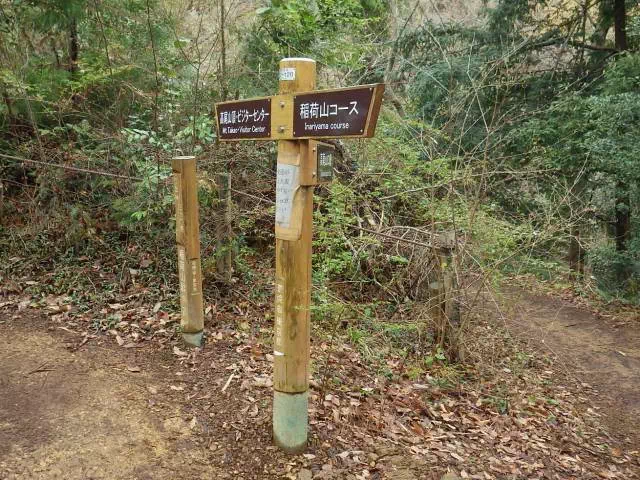 ⑥号路への分岐