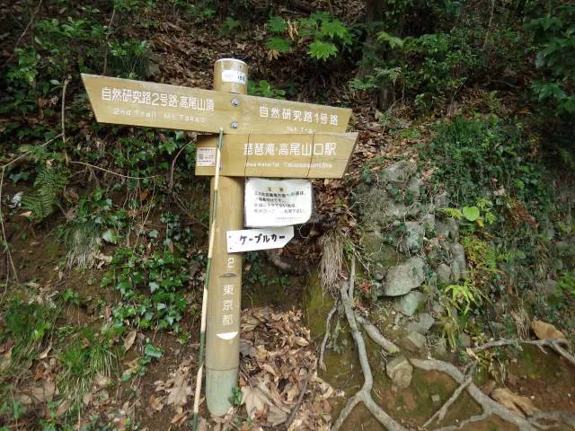 琵琶滝への下り