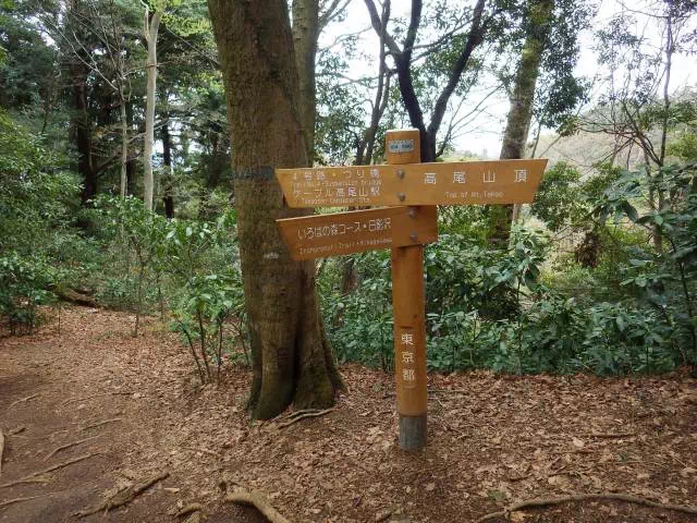 いろはの森分岐