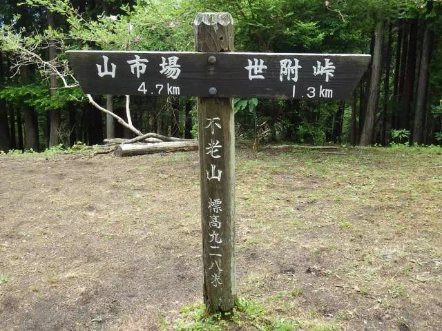 山頂