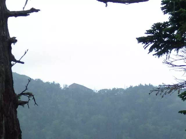 樹間の小屋 樹間の小屋