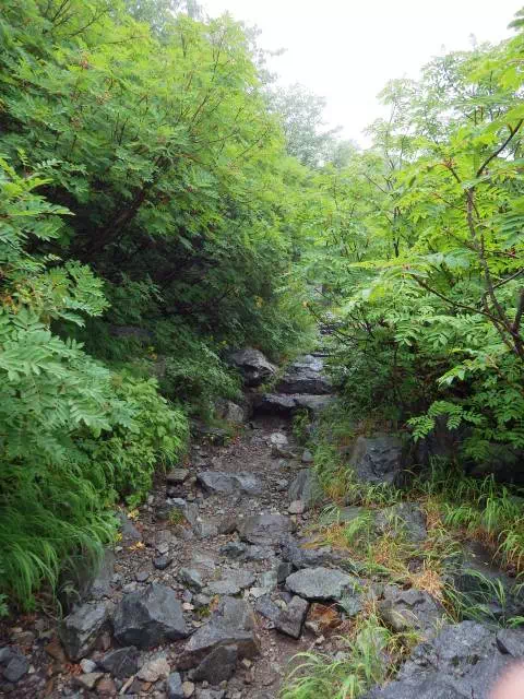 涸沢小屋への登り