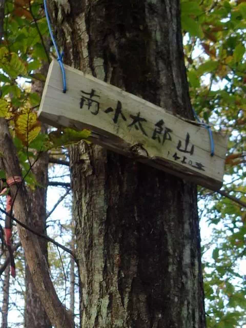 南小太郎山