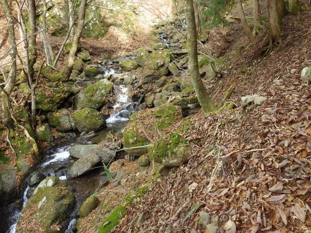 沢沿いの道 沢沿いの道