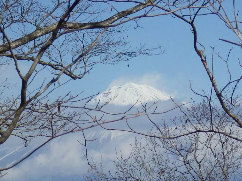 貫ケ岳から見た富士山