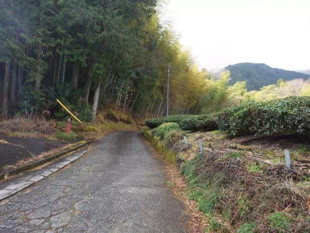 作業道路