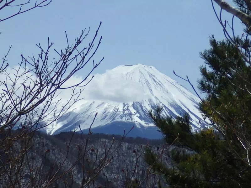 富士山