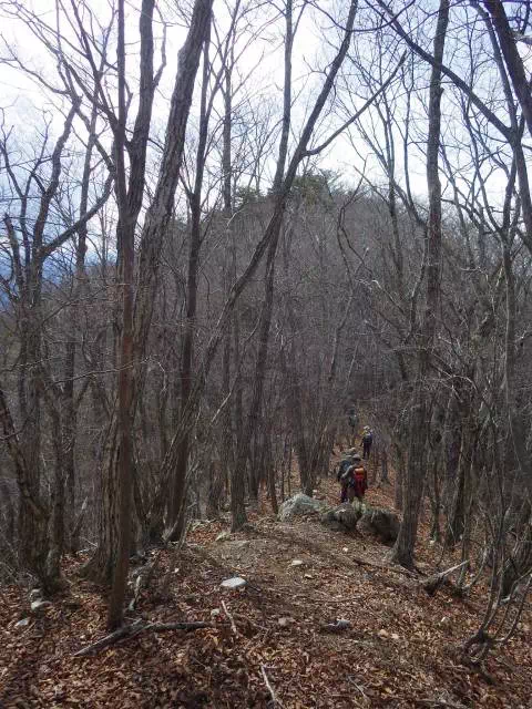 下り後のピーク