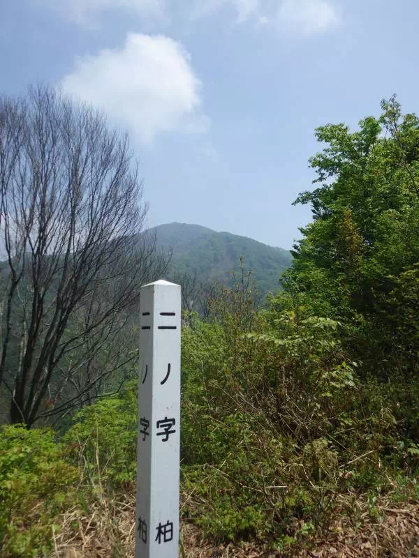 二ノ字から見た米山 二ノ字から見た米山