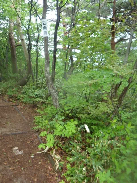 四合目 四合目