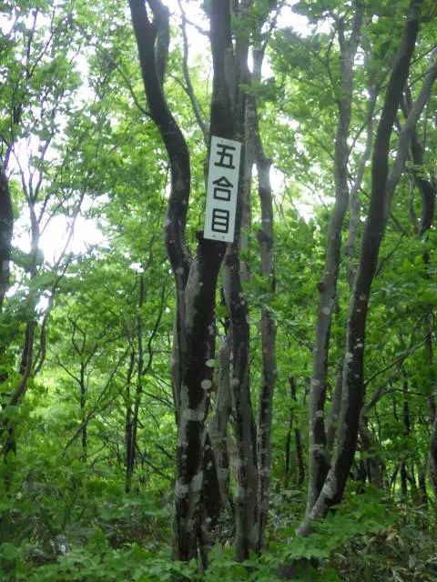 五合目 五合目