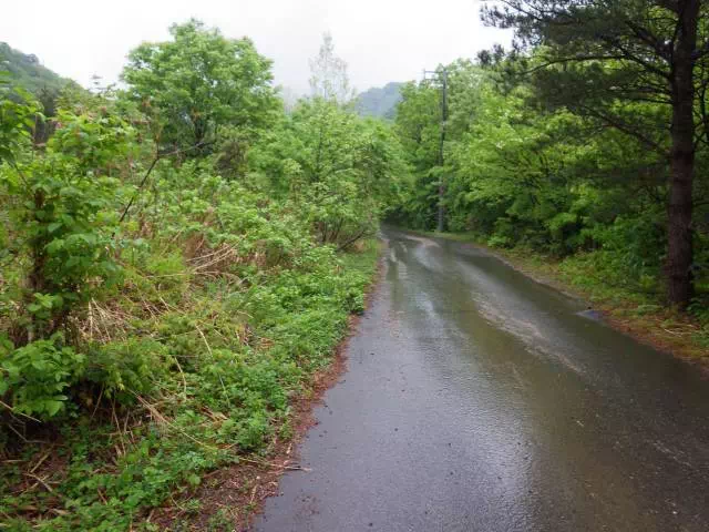 駐車場前道路 駐車場前道路