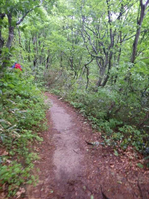 緩い登り 緩い登り