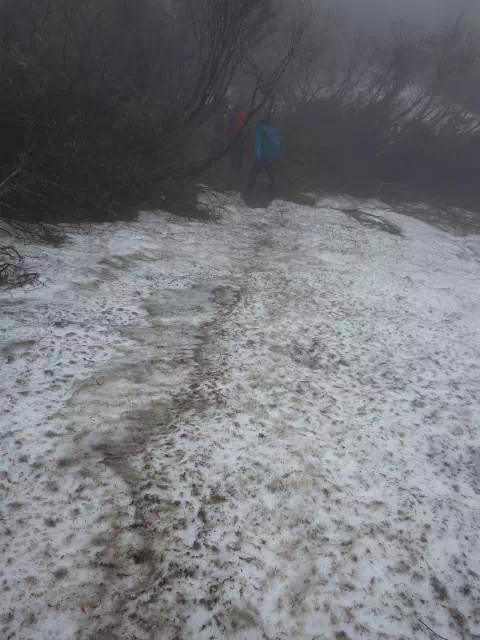残雪 残雪