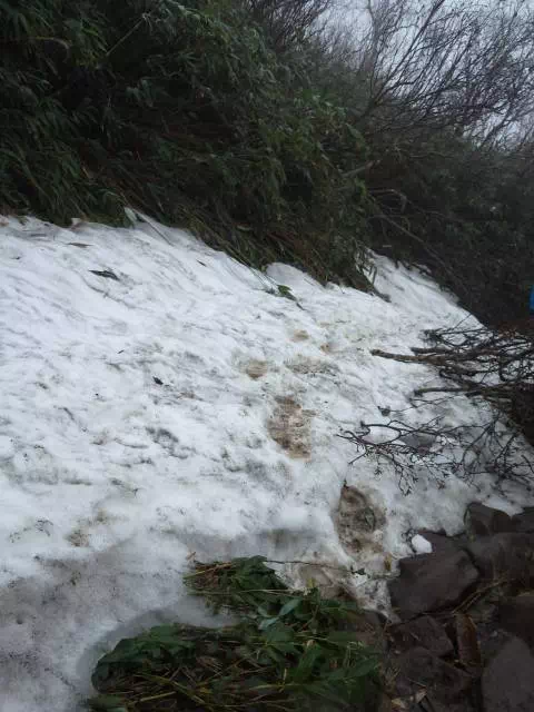 残雪