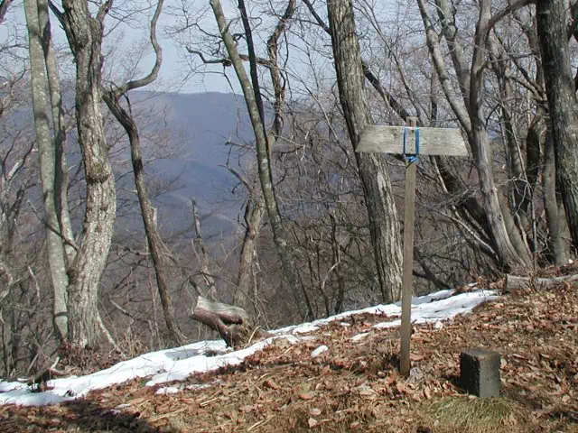 大久保山 大久保山