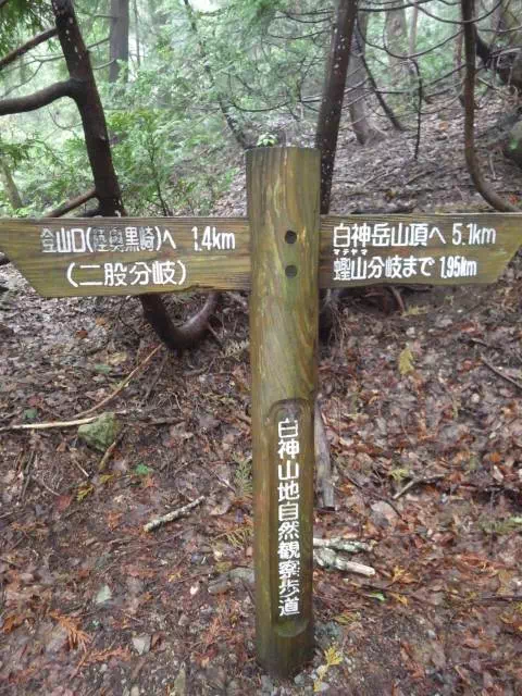 二股分岐 二股分岐