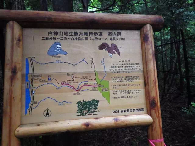 二股分岐 二股分岐