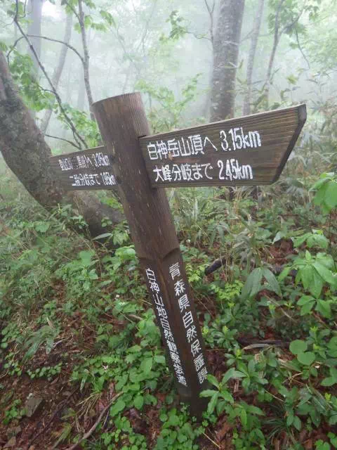 蟶山分岐 蟶山分岐