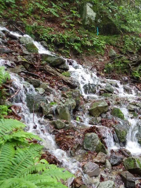 最後の水場 最後の水場