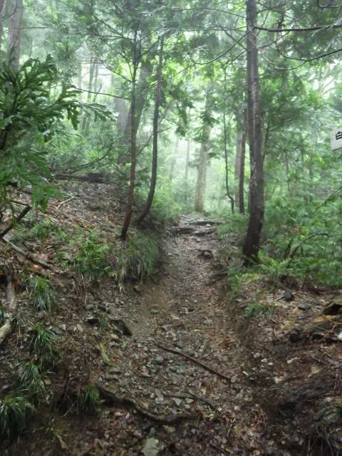 緩い登り 緩い登り
