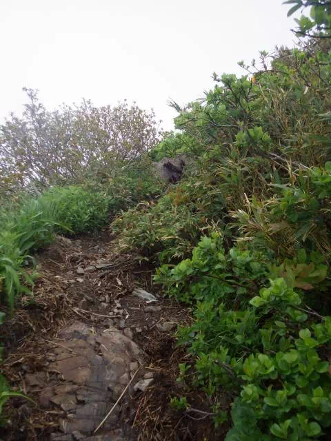 稜線直下 稜線直下