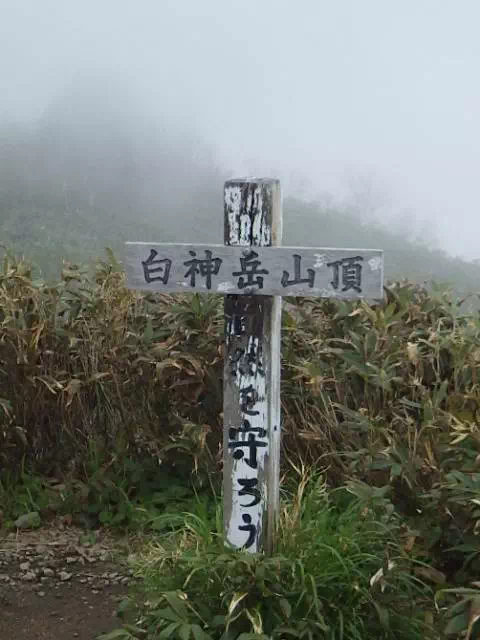 山頂 山頂