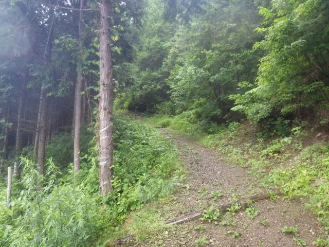 西御荷鉾山南登山口