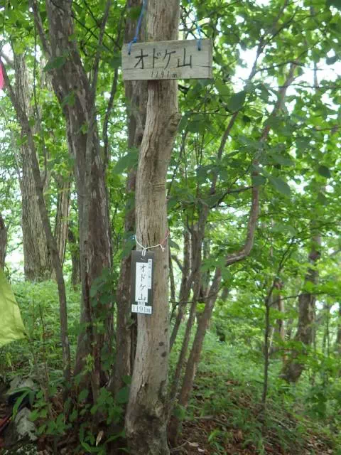 オドケ山山頂