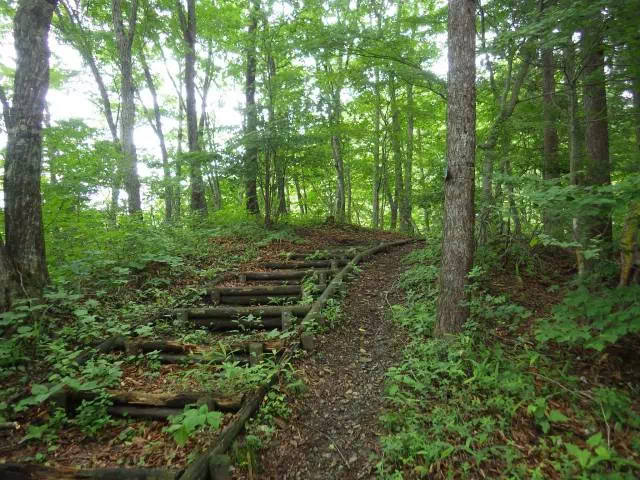 オドケ山登山口