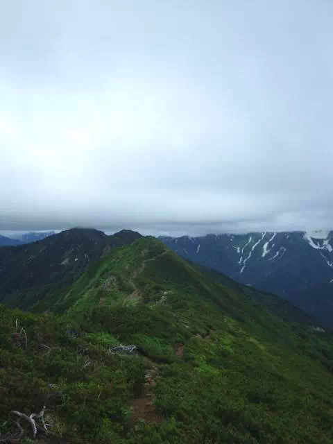岩小屋沢岳からの下り