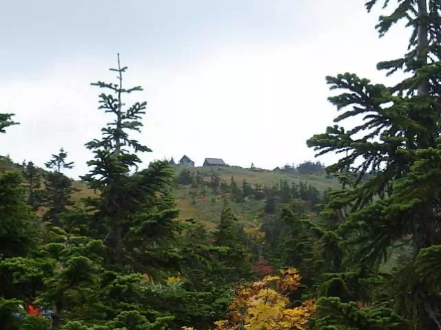 駒の小屋 駒の小屋