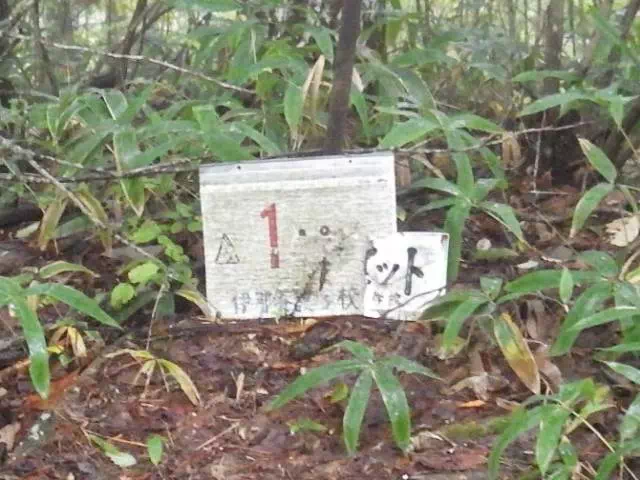 第一ピット 第一ピット