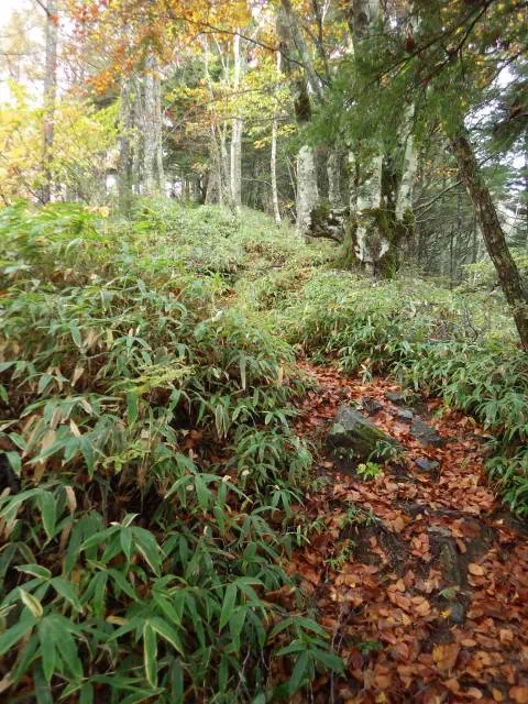 急な登り 急な登り