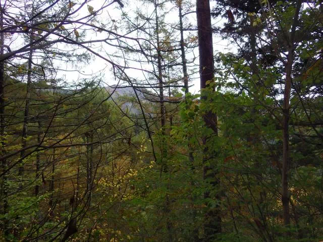 隣の尾根 隣の尾根