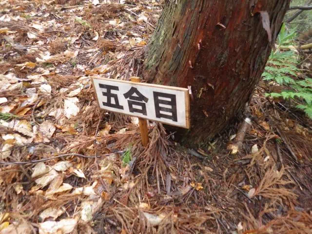 5合目