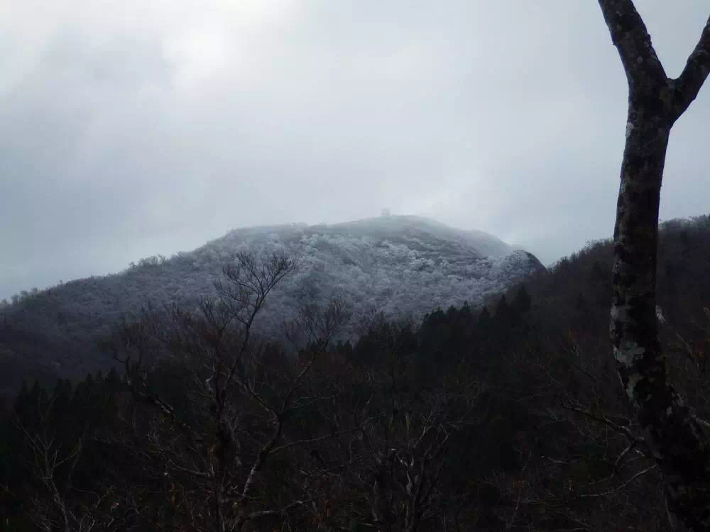 初冠雪の氷ノ山