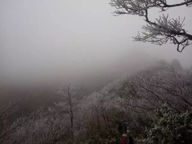 見ない山頂