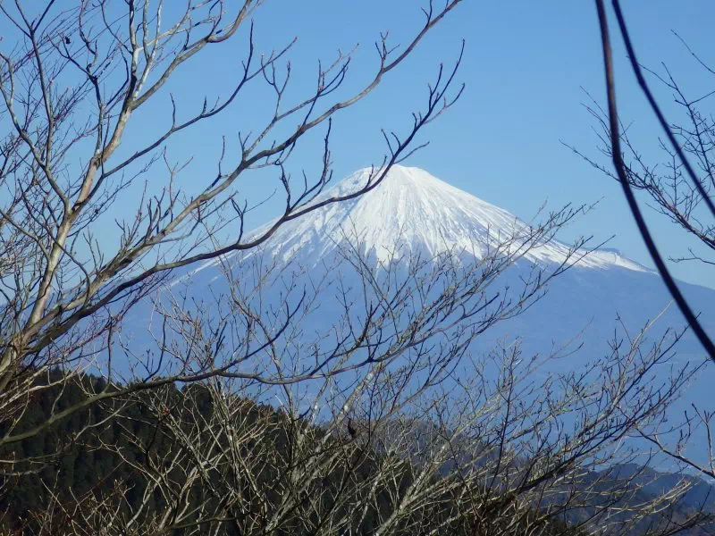 富士山