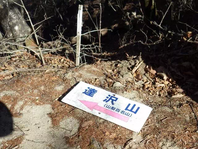 尾根分岐 尾根分岐