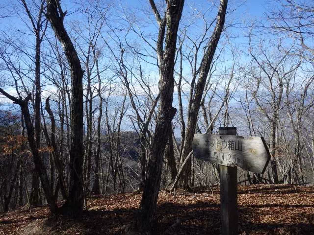 ナットウ箱山 ナットウ箱山
