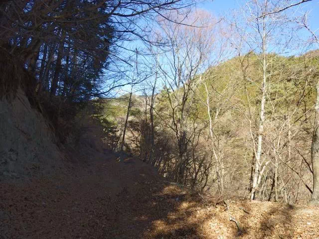 林道歩き 林道歩き