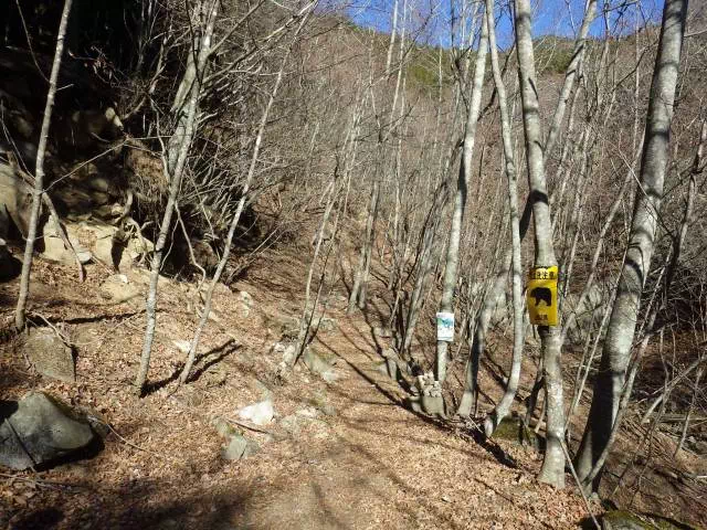 林道終点 林道終点