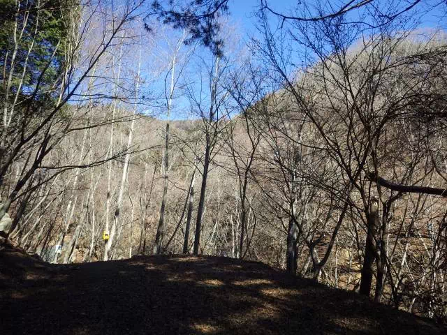 林道終点 林道終点