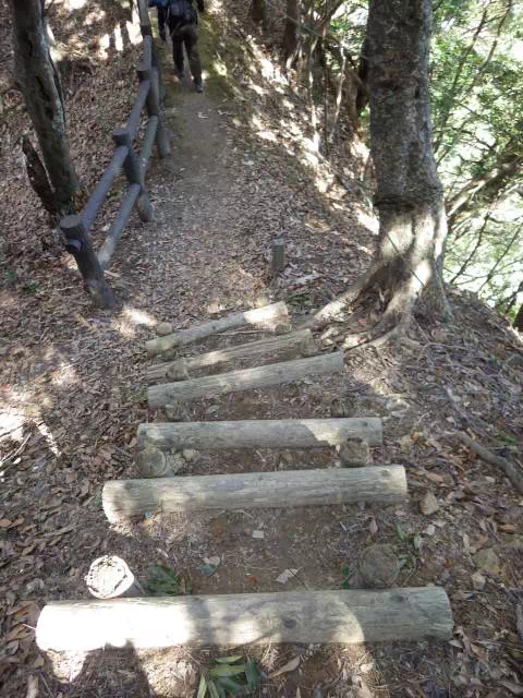 下り木段